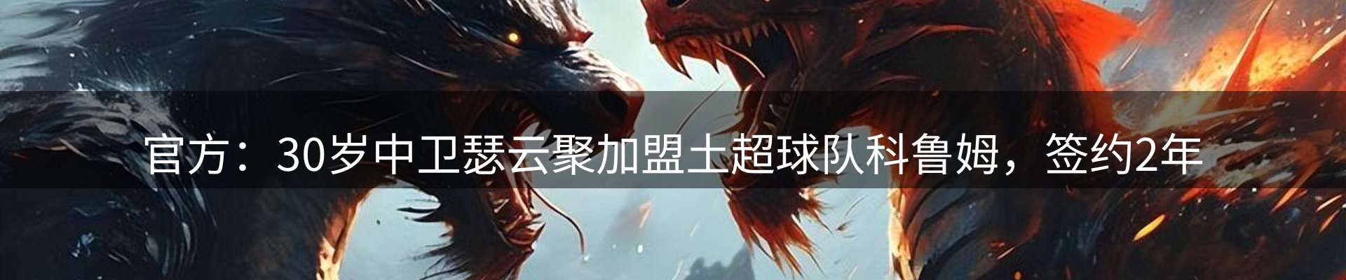 内页banner